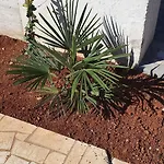 Apartment With Parking Space - 22715 Porec