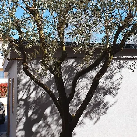 Apartamento With Parking Space - 22715