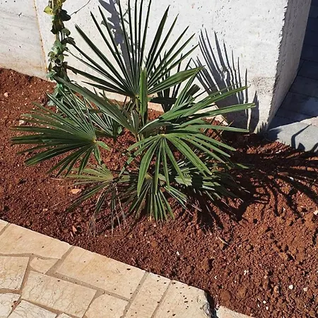 Apartment With Parking Space - 22715 Poreč