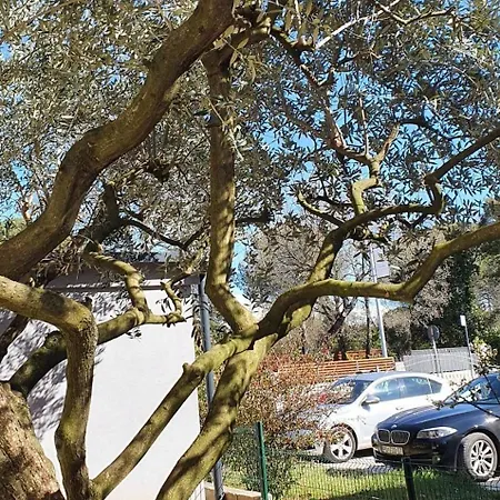 Apartment With Parking Space - 22715 *