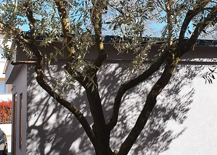 Apartman With Parking Space - 22715