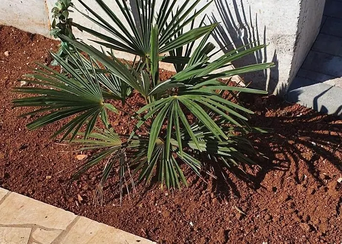 Apartman With Parking Space - 22715 Poreč