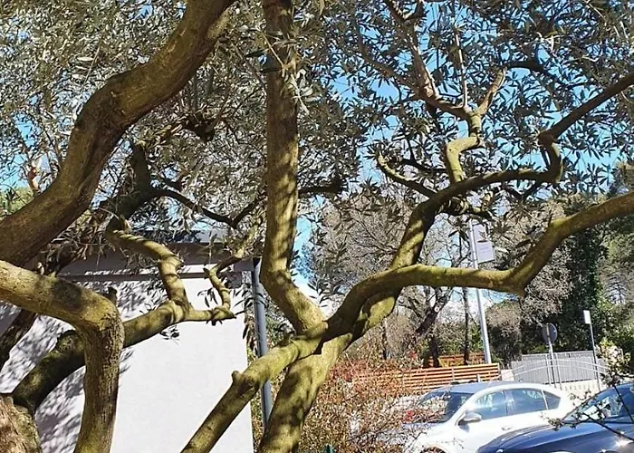 Apartman With Parking Space - 22715 *